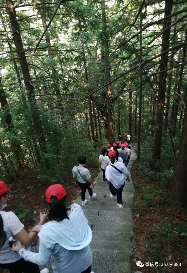 安(ān)徽深藍醫(yī)療旅行活動走起,深藍醫(yī)療,深藍young,深藍風采,深藍